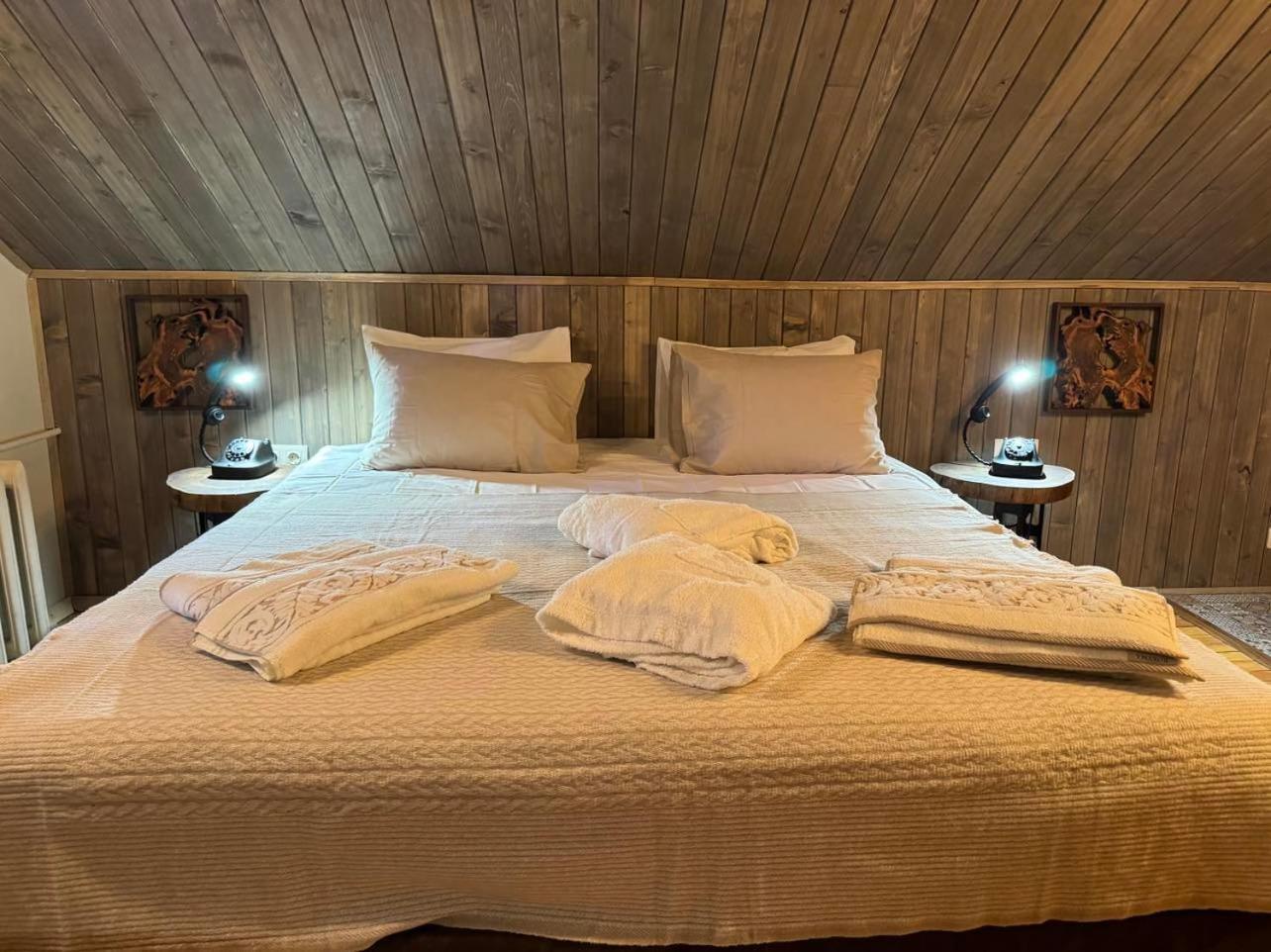 Adis With Hot Pool & Jacuzzi By Bookvillabg Villa Borovets